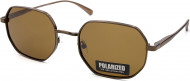 С/З POLARIZED 347P C2