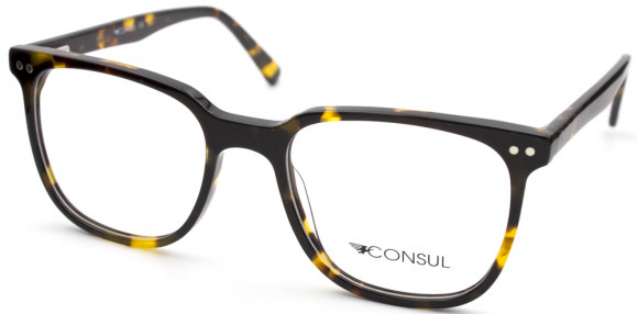 ОП CONSUL 3001F C3