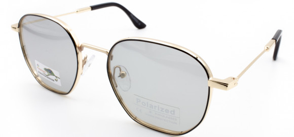 С/З POLARIZED 06011 C3