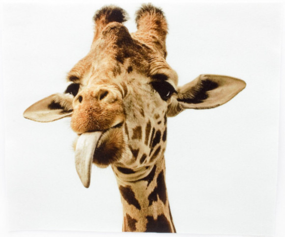 Салфетка для очков м/ф № 78 Салфетка для очков м/ф № 78