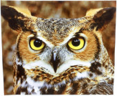 Салфетка для очков м/ф № 79