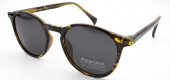 С/З POLARIZED 19805 C6 С/З POLARIZED 19805 C6