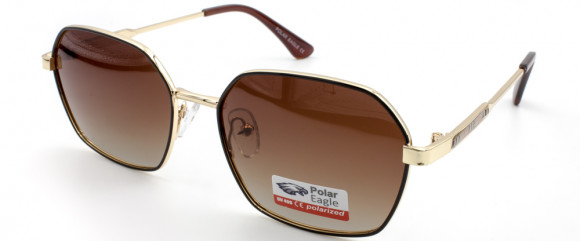 С/З POLAR EAGLE 06309 C2