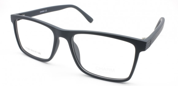 ОП CHARM 11029 C2 ОП CHARM 11029 C2