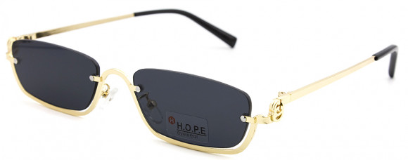 2495C10OMSZHO 2495C10OMSZHO