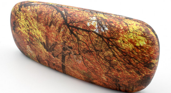 Футляр для очков 31A-10 с рисунком