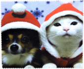 Салфетка для очков м/ф № 89