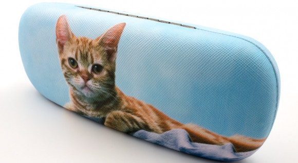 Футляр для очков 31A-13 с рисунком  Ш