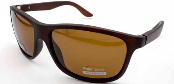 С/З POLAR SPORTS P6140 C2