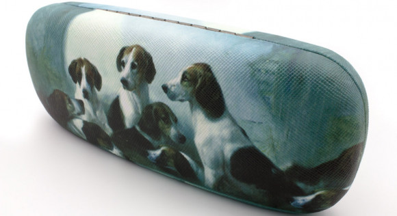 Футляр для очков 31A-15 с рисунком