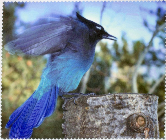 Салфетка для очков м/ф № 107