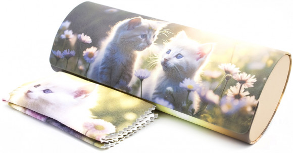 Футляр для очков W-251-D47U с рисунком + салфетка