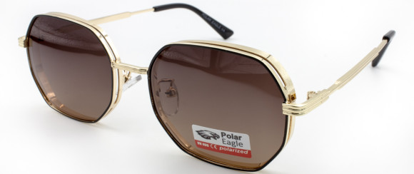 С/З POLAR EAGLE 06210 C6