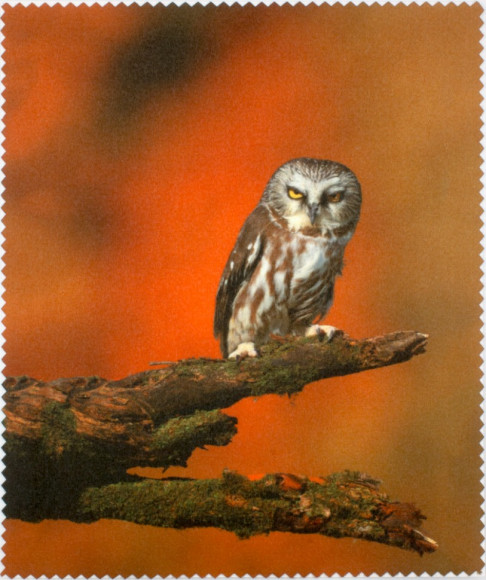 Салфетка для очков м/ф № 110