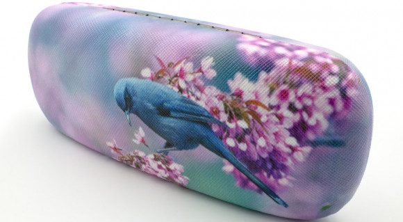 Футляр для очков 31A-8 с рисунком