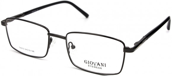 ОМ GIOVANI 4210 C1