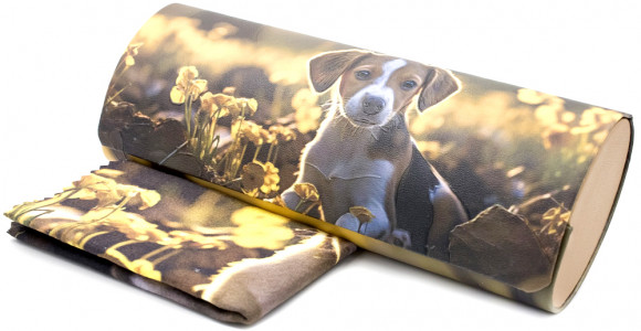 Футляр для очков W-251-D78U с рисунком + салфетка