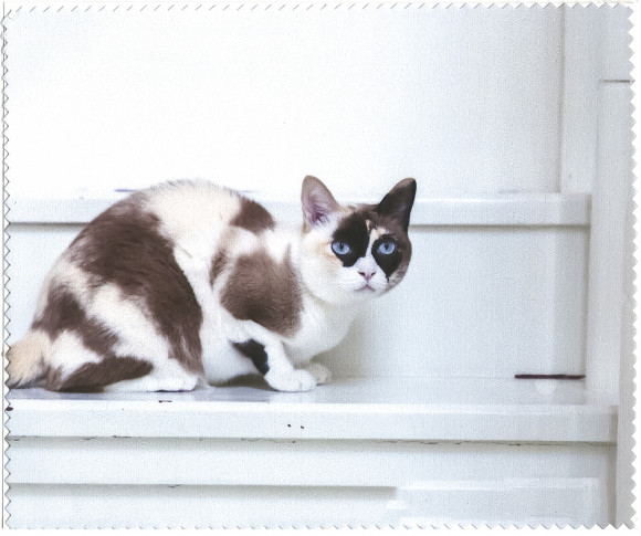 Салфетка для очков C-261 Салфетка для очков C-261