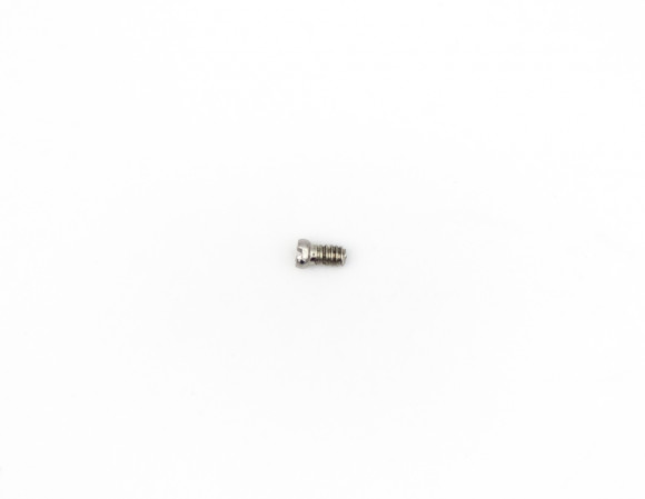Винт для металлических оправ 3.0 мм 1507-19 ,упак