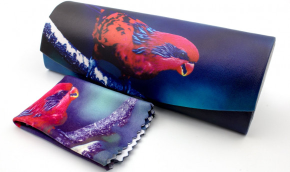 Футляр для очков W-290-51 с рисунком + салфетка