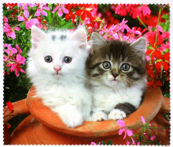 Салфетка для очков м/ф № 01 Салфетка для очков м/ф № 01