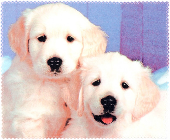 Салфетка для очков м/ф № 02