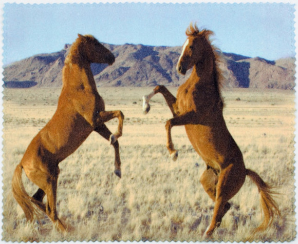 Салфетка для очков м/ф № 03