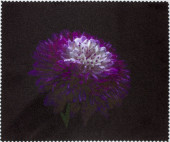 Салфетка для очков м/ф № 141