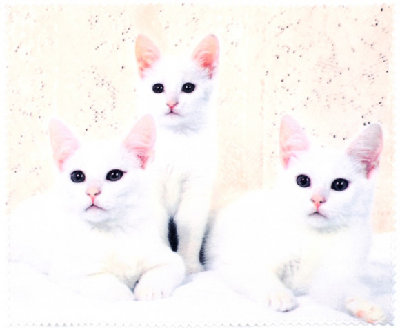 Салфетка для очков м/ф № 04