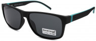 С/З CHEYSLER polarized  02333 C3