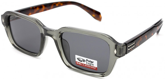 С/З POLAR EAGLE 09306 C05