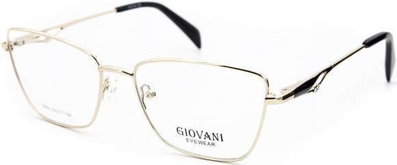 ОМ GIOVANI 8893 C3