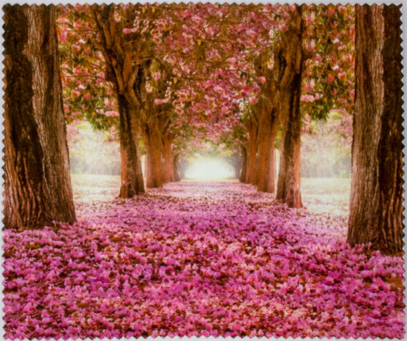 Салфетка для очков м/ф № 147