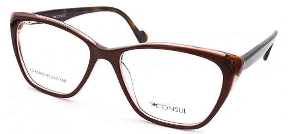 ОП CONSUL 2009 C13