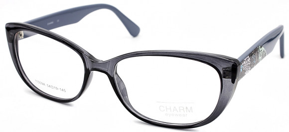 11009AC3OPCH 11009AC3OPCH