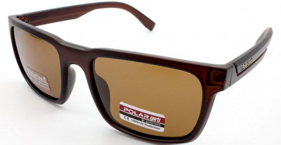 С/З POLAR SPORTS PS8022 C2