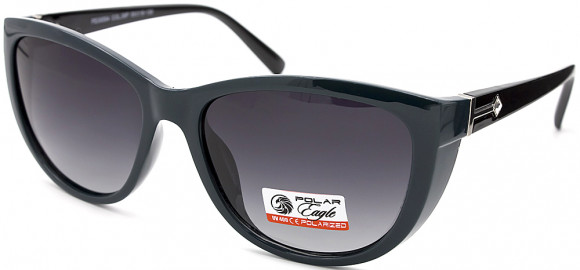 С/З POLAR EAGLE 09594 C6