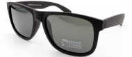 С/З POLARIZED 02809 C3 С/З POLARIZED 02809 C3
