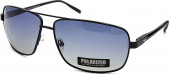 С/З POLARIZED 314P C4