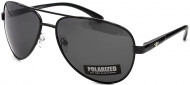 С/З POLARIZED 309P C1 С/З POLARIZED 309P C1
