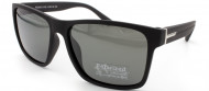 С/З POLARIZED 02812 C3 С/З POLARIZED 02812 C3