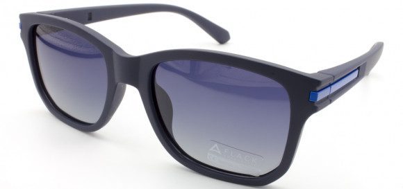 С/З FLACK 66608 C5