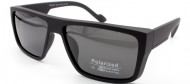 С/З POLARIZED 02831 C3 С/З POLARIZED 02831 C3
